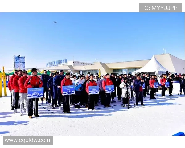 刘军独家分享排球心得与技巧提升之路助你成为排球高手